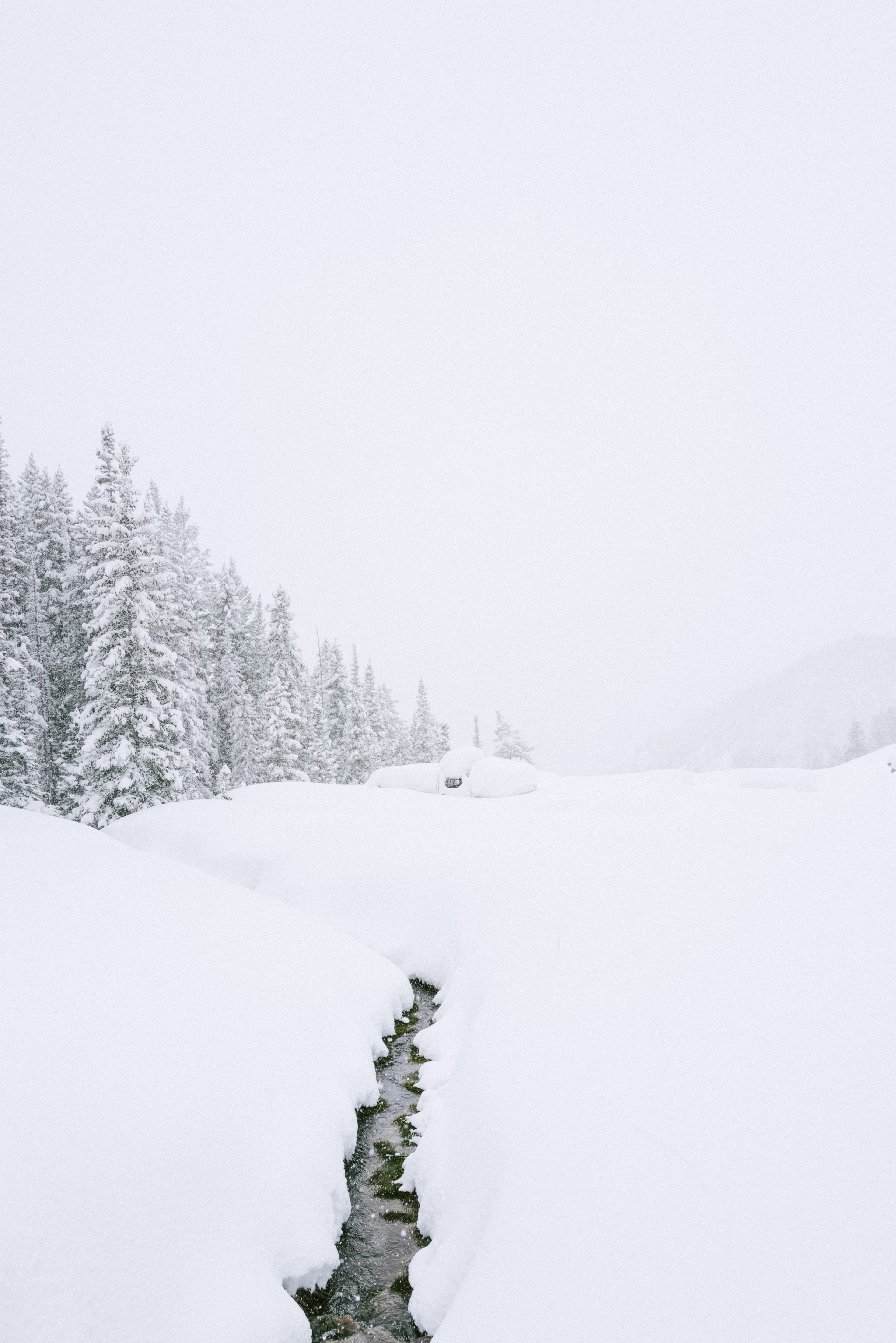 Environmental image of winter in Aspen