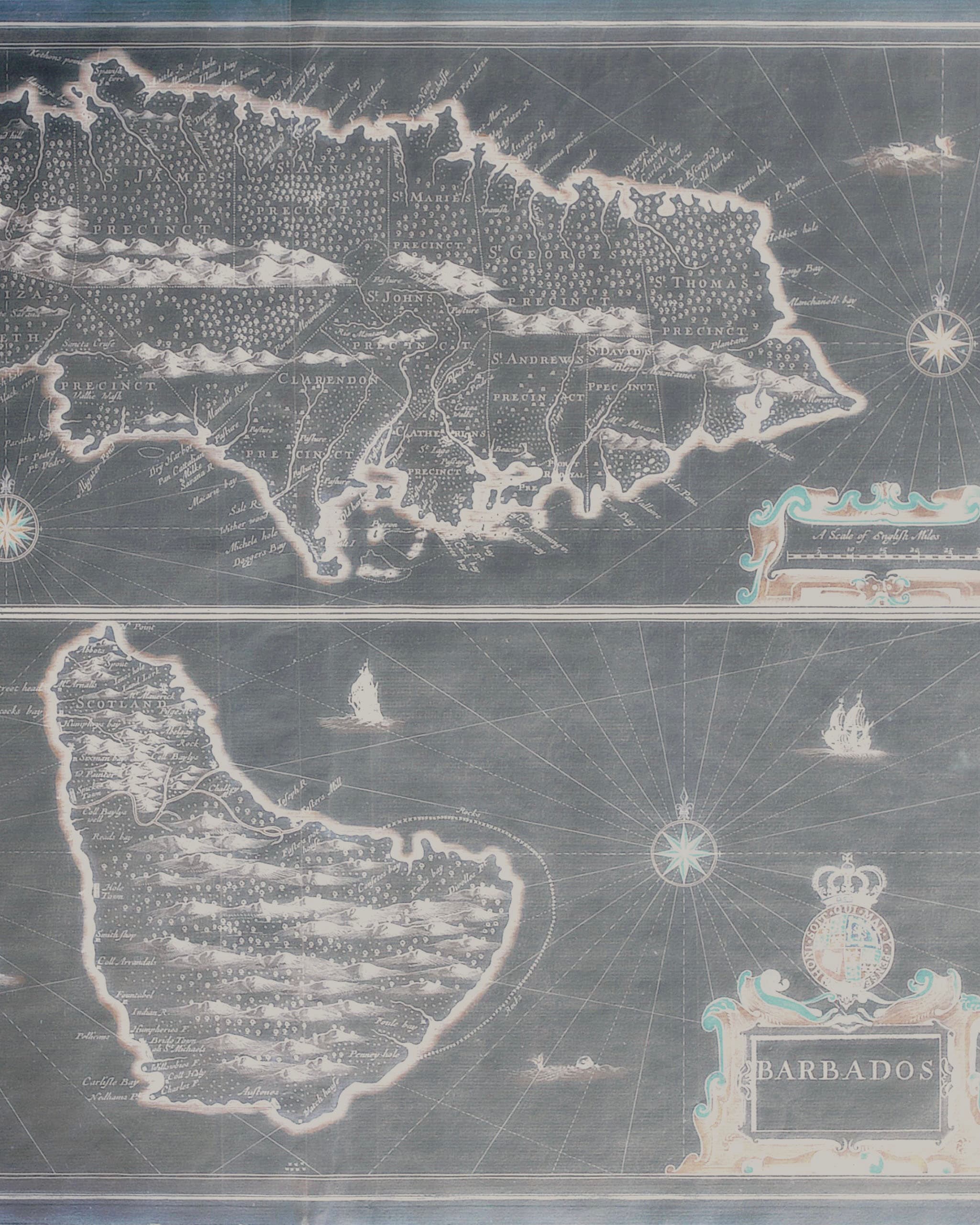 Map of Sea Island Cotton production countries