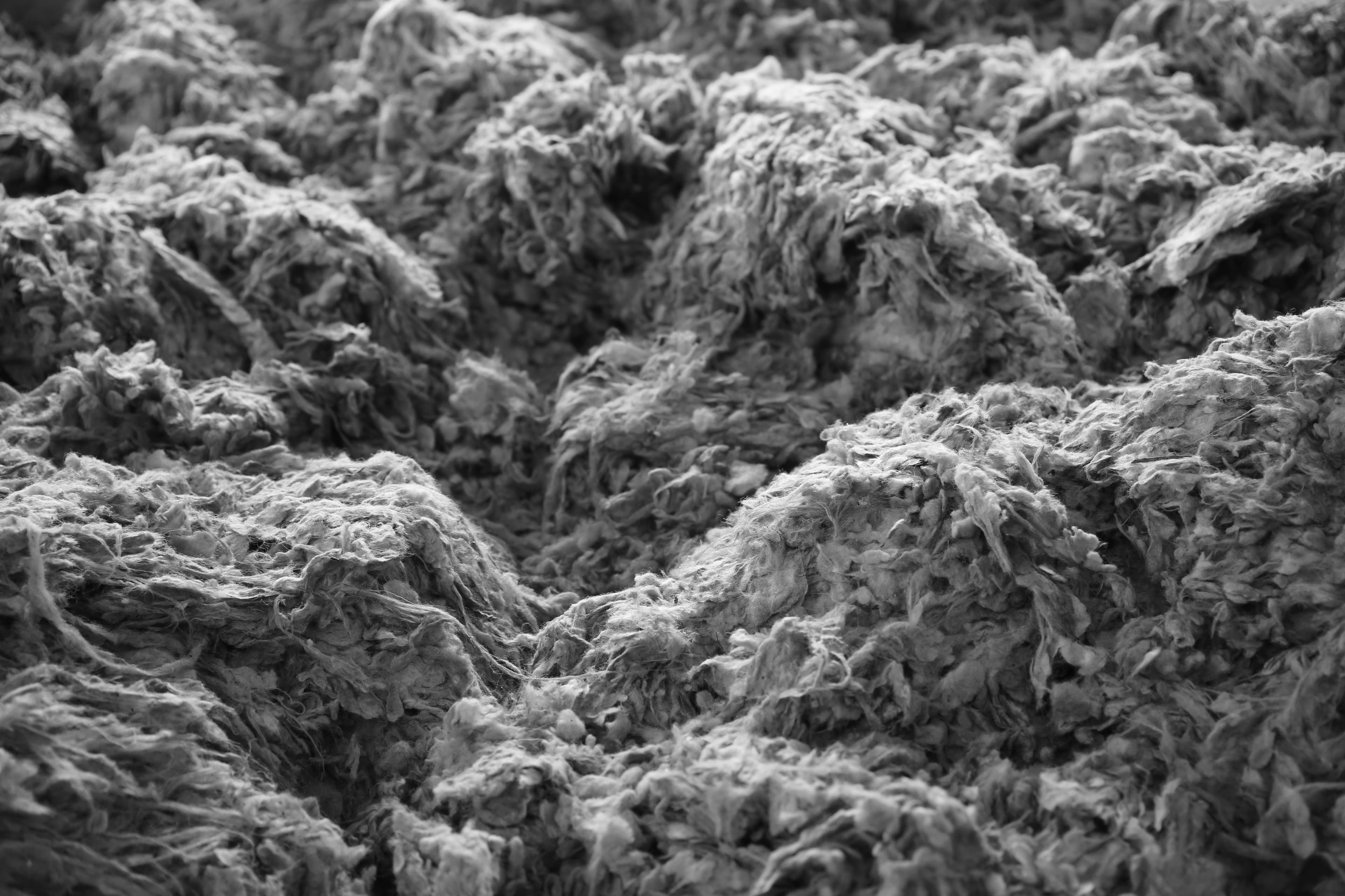 Black and white image of wool from fabric
